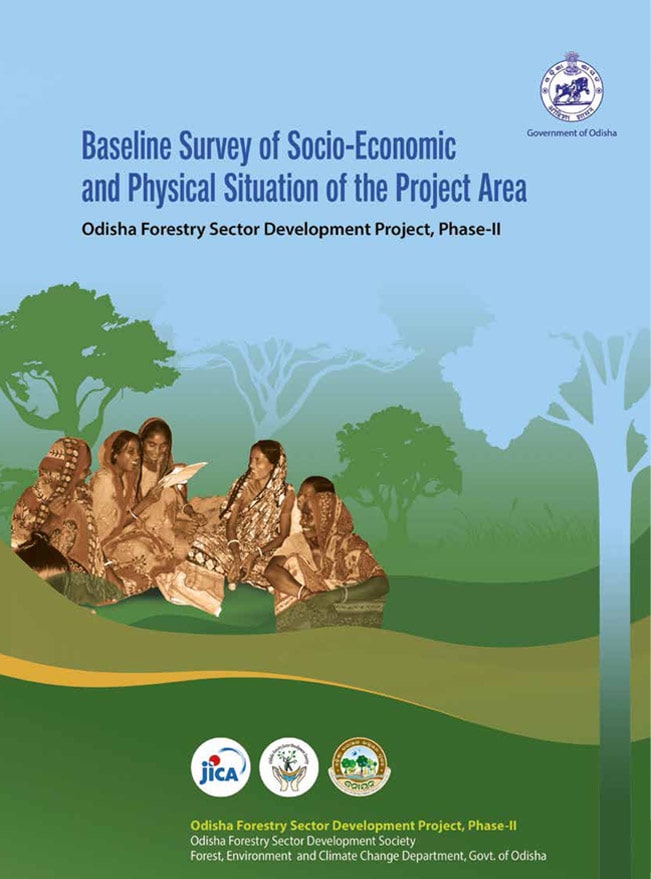 Baseline Survey Report