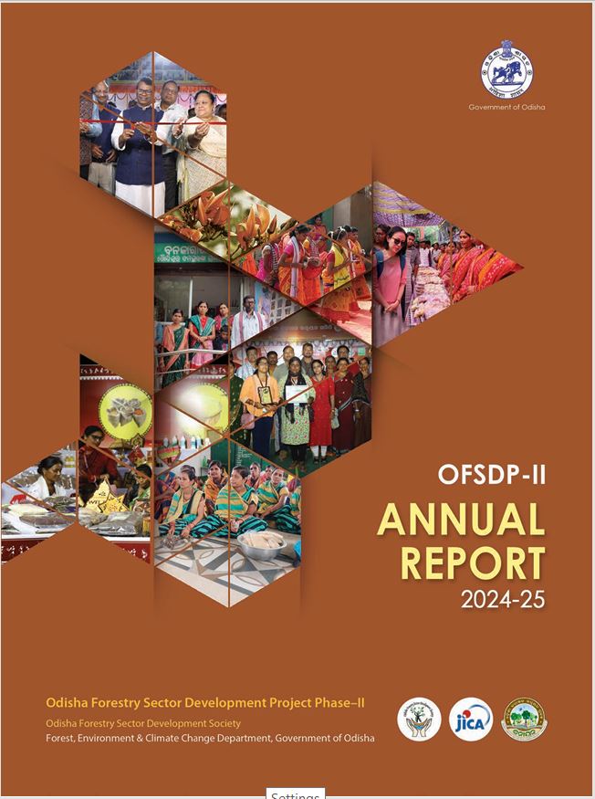 Annual Report 2024-25