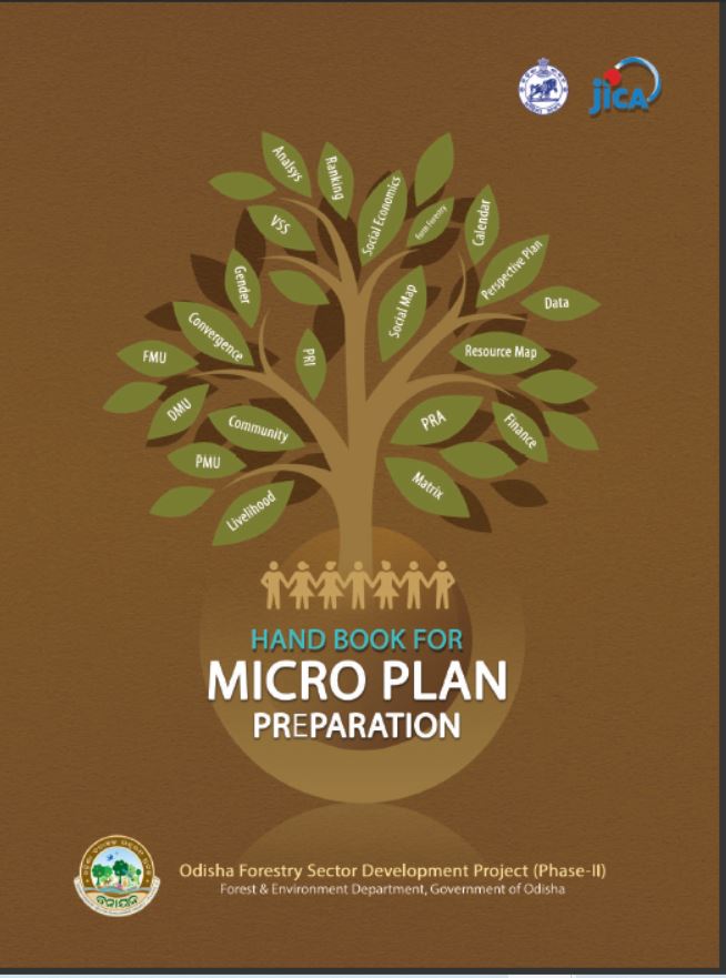 Micro plan