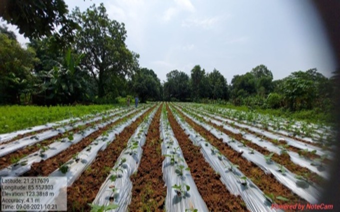 Field activity — community workshop