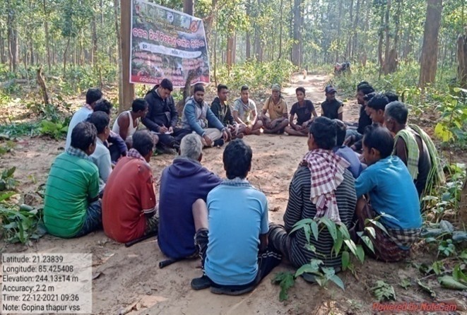 Field activity — nursery operations